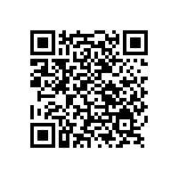 影響高亮度仿電鍍鋁銀漿--鋁顏料定向排布的幾個因素