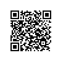 由亞太涂料工業看鋁銀漿發展