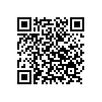 在章丘區與銀箭鋁銀漿員工的個圣誕節