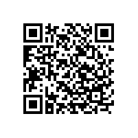 熊孩子地鐵站攀爬南京不銹鋼樓梯扶手