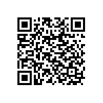 DeepSeek时代：AI工具生态引爆双碳革命！