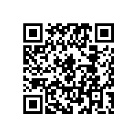 上海申江壓力容器有限公司與百年申江是一家公司嗎?