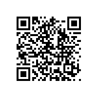 飯店餐廳選什么炒爐 炒爐的種類和選擇