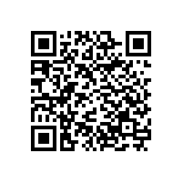 自動米飯生產線 現代餐飲業必備設備