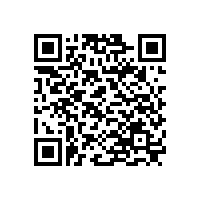 離心泵的主要工作原理是什么？