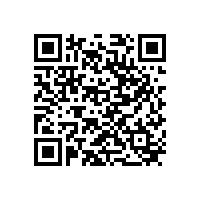 DAOFU-D4R0.3金剛石涂層圓鼻刀牛鼻銑刀