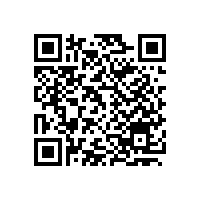 帶式輸送機廠家嵩陽煤機祝全國人民 新春吉祥 闔家歡樂