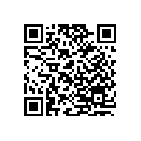 國(guó)內(nèi)外膠帶輸送機(jī)傳送皮帶撕裂的研究成果