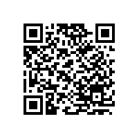 國(guó)外皮帶式輸送機(jī)技術(shù)的現(xiàn)狀和特點(diǎn)