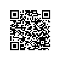 山不在高上天峰，郊西陌上明月隱