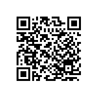 嵩陽煤機皮帶機多臺電機變頻驅動的應用