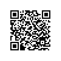 新飛廣告做得好不如新飛冰箱好，外資進(jìn)入瞎胡搞？如今只能拍賣了