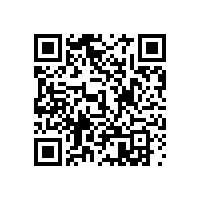 西安市快速干道橋梁結構涂裝及景觀燈設置工程施工中標公示(陜西)