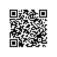 招標(biāo)代理機(jī)構(gòu)是投標(biāo)單位的下屬獨(dú)立法人公司，這樣可以投標(biāo)嗎？