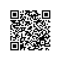 招標(biāo)代理機(jī)構(gòu)：以掛靠為目的的分公司層出不窮的主要原因