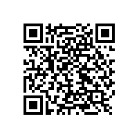 好色先生污版下载售後服務，為何成為客戶的“定心丸”？