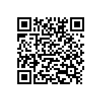 柏艾斯：光伏企業(yè)批政府“金太陽(yáng)”照不亮國(guó)內(nèi)市場(chǎng)