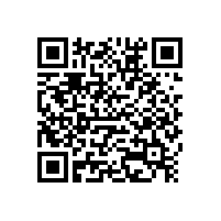 柏艾斯：光伏的希望在國(guó)內(nèi)市場(chǎng)