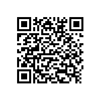 柏艾斯：中國產(chǎn)太陽能電池90%出口，專家建議啟動國內(nèi)市場