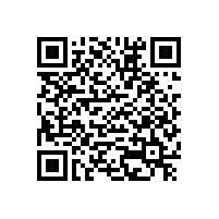 別讓“浮夸風(fēng)”攪亂了新能源汽車的升級(jí)夢(mèng)