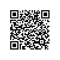 動(dòng)力電池產(chǎn)業(yè)的領(lǐng)先優(yōu)勢這樣形成