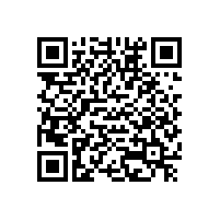 降低成本 奧迪未來或?qū)p少電動(dòng)車?yán)m(xù)航