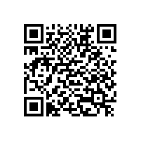 新能源汽車(chē)地方保護(hù)是自毀長(zhǎng)城