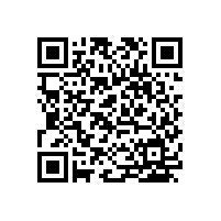 大黄蜂展览介绍探维科技在上海玩具展设计方案