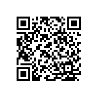 广州活动执行案例-王国纪元