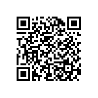 福建200kg/h燃油蒸汽發生器已經裝車發貨了