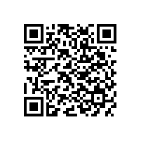 GBT 4772.1-1999 旋轉電機尺寸和輸出功率等級 第1部分 機座號56~400和凸緣號55~1080