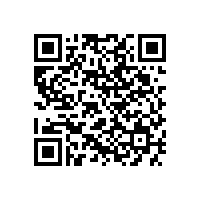 蘇爾壽全球采購總監(jiān)一行來皖南電機參觀考察