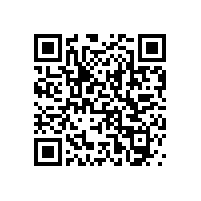 室內(nèi)無(wú)障礙扶手擁有個(gè)性化的設(shè)計(jì)！【藍(lán)品盾】