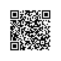 1.6mpa儲(chǔ)氣罐快開(kāi)手孔標(biāo)準(zhǔn)圖