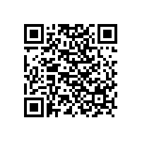 上海申江與百年申江是一家公司嗎?