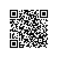 項目名稱：寶鋼集團有限公司