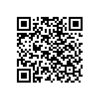 眉山李文鎖城第一分店