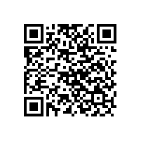 門業(yè)定制化將催生鎖具定制化