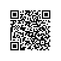 團結(jié)奮進的西安李文人