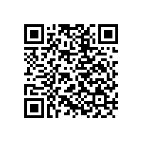 有關(guān)李文鎖城公司品牌建設(shè)與連鎖店管理方面的建議