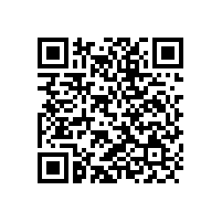 重慶李文鎖城新“型”象