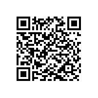 振動活化給煤機國產和進口，你怎么選擇呢？