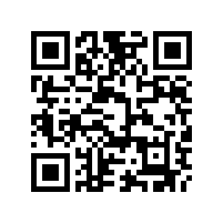 上海艾思捷邀您端午節一起吃粽子啦！