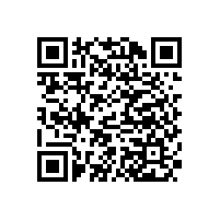 报告厅音响 极悦娱乐DSP数字有源系统超低音N-108CS