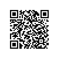 【极悦娱乐】会议室音响进驻四川省乐山市人们政府