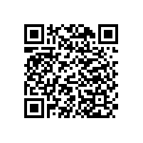 极悦娱乐音响 X系列多用途音箱