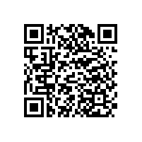 双八寸线阵音箱组成会议室音响系统【极悦娱乐】