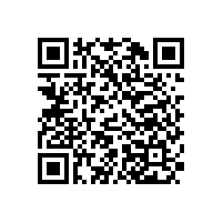 演唱会音箱 德萨斯州音乐节案例