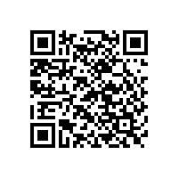 項目名稱：寶鋼集團有限公司