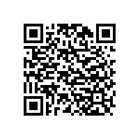 東莞厚街到新疆全境物流專線鷹航物流13922514227